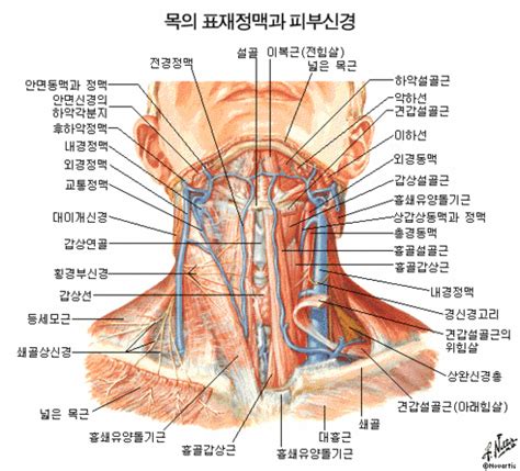 The Korean Christian Community News