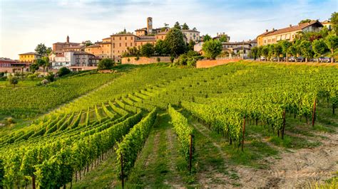 Borgo Divino In Tour A Neive Edizione I Vini Migliori Si