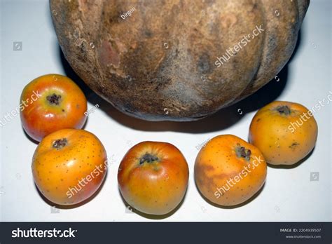 Tejocote Fruit Guerrero Mexico Stock Photo 2204939507 | Shutterstock