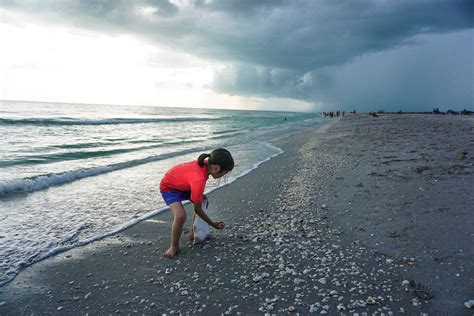 Sanibel Island Beaches: Hotels on the Beach and Public Sanibel Beaches ...