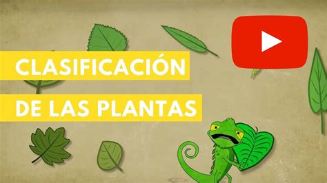 Plantas Perennes Para Proteger Y Nutrir El Suelo Menudo Jardin