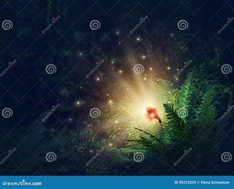 Blooming fern flower stock image. Image of dark, wood - 99212039