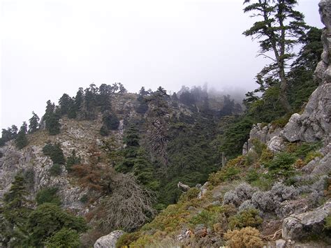 Parque Nacional De La Sierra De Las Nieves Wikiwand