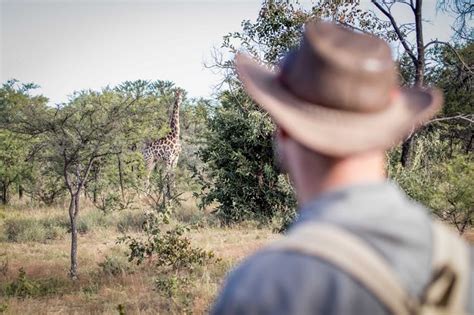 Safari Bush Walks African Safari Co