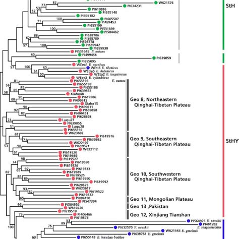 A Neighbor Joining Nj Dendrogram Tree Showing The Genetic