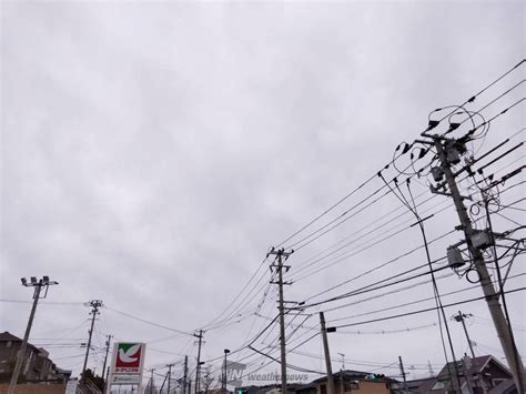 今日は一日中こんな感じの曇り空です 気 宮城県仙台市泉区 杜のラッコ ウェザーニュース