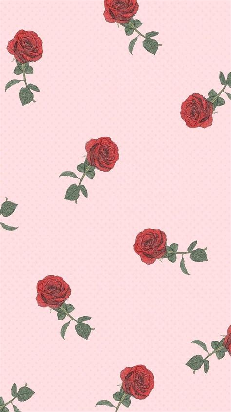 Aesthetic Rose Wallpapers - Wallpaper Cave