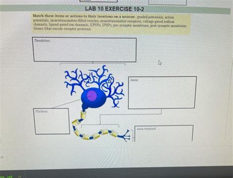 Solved LAB 10 EXERCISE 10-2 Match these items or actions to | Chegg.com 