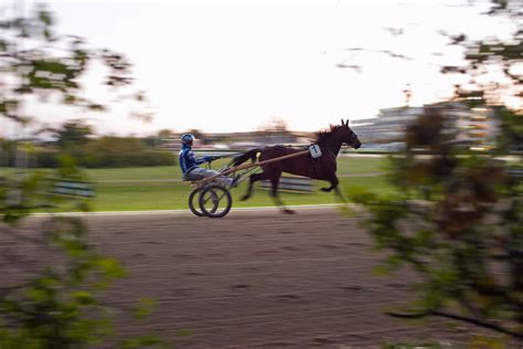 Berlin Trabrennbahn Mariendorf 18 9 2020 Traber Derby Flickr