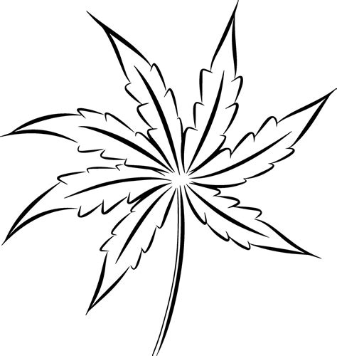 Hand Drawn Sketch Of Cannabis Leaf Illustration 43058125 Vector Art At