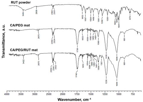 Polymers Free Full Text Quercetin And Rutin Containing Electrospun