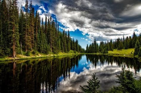 Free Images Landscape Tree Water Forest Wilderness Sky Meadow