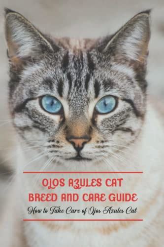 Ojos Azules Cat Breed and Care Guide: How to Take Care of Ojos Azules ...