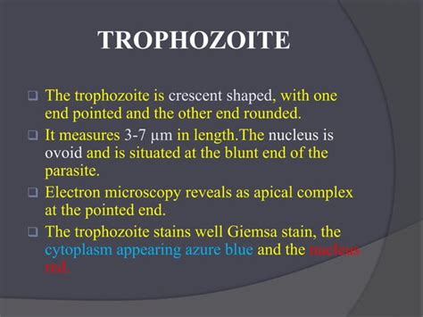 Toxoplasmosis Ppt Hemapriya Ii Pg Pptx