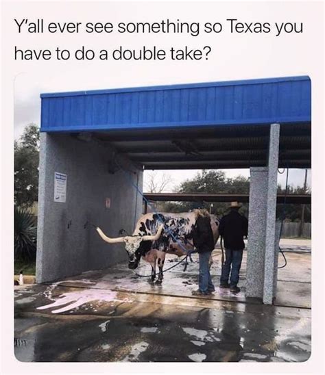 Texas Memes 39 Pics