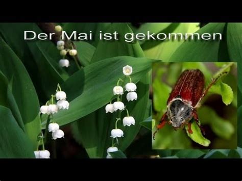Der Mai ist gekommen - May has arrived - YouTube