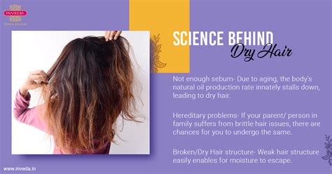 5 Best Ways To Moisturize Dry Hair For Silky Smooth Lengths Inveda Natural Ayurveda