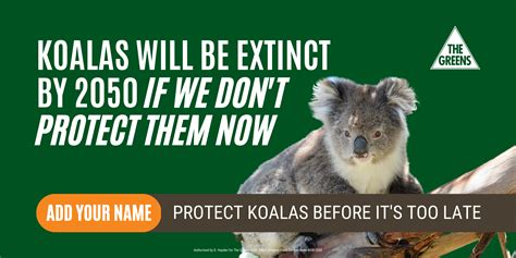 Protect Koalas Petition Greens Nsw