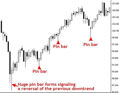 Trading Price Action And Pin Bar Reversals In The Forex Market Learn