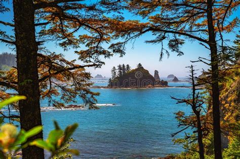 Coastal View Of La Push Third Beach With Sea Stacks In Washington State