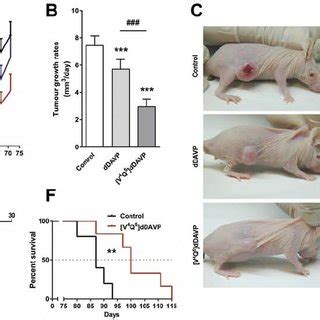 Effect Of V 4 Q 5 DDAVP On Tumour Progression Of Human Breast Cancer