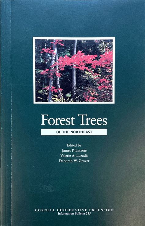 Forest Trees of the Northeast – $19.90 – CCE Department of Natural ...