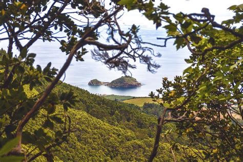 S O Miguel Excursi N De Un D A A La Lagoa Do Fogo Getyourguide