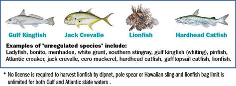 Coastal Species - Florida Saltwater Fishing | eRegulations