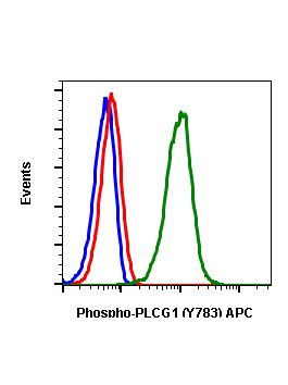 Phospho PLCg1 Y783 Recombinant MAb Abwiz Bio