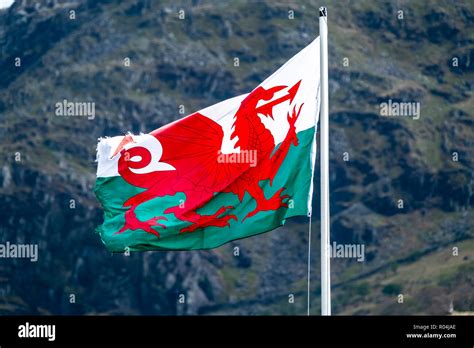 Welsh Flag Waving Hi Res Stock Photography And Images Alamy