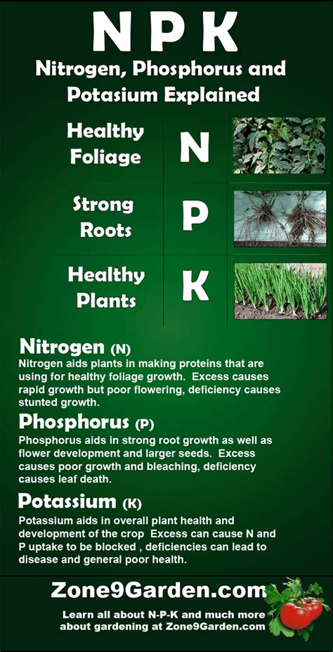 Npk Nitrogen Phosphorus And Potassium Explained Vegetable Garden Blog