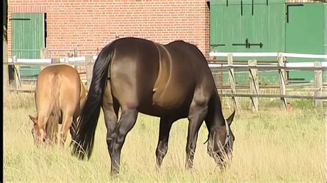 Junge Naturvebundenes Teen Mastubiert Gerne Im Freien Pantyhose Amateur Porn Xhamster