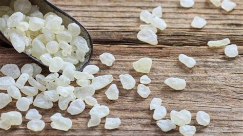 Mastic Gum Mastiha Health Benefits And How To Use 50 Off