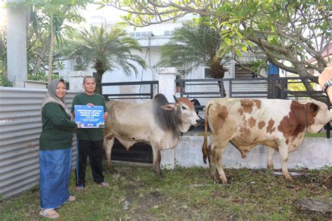 Pelindo Regional 1 Belawan Salurkan Hewan Qurban JurnaLyfe