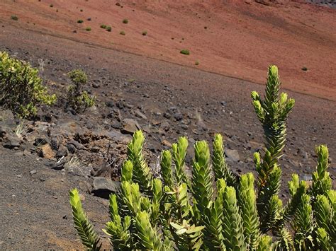 Hawaii Maui Volcano - Free photo on Pixabay