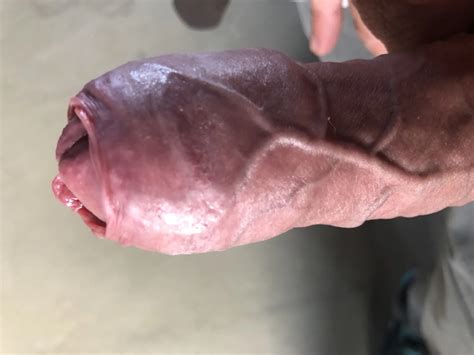 Mittagspause Mit Meinem Harten Schwanz Nude Pics XHamster