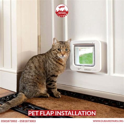 Pet Flap Installation Dubai Repairs