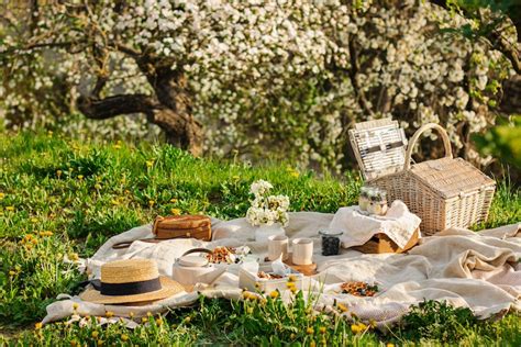 Come Organizzare Un Picnic Perfetto Nel Giardino Di Casa