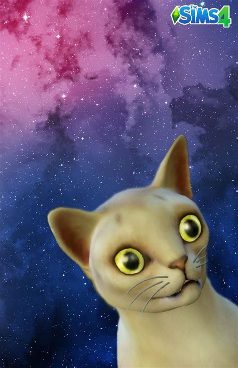 The Sims 4 / Cats and Dogs / Sims 4 Wallpaper | Creepy cat, Cat ...