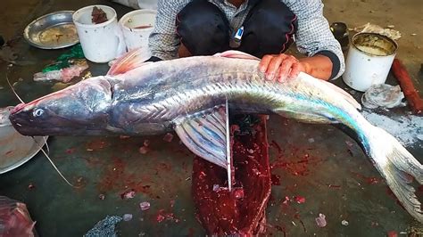 Big Ayer Fish Cutting In Fish Market Amazing Cutting Skill Youtube