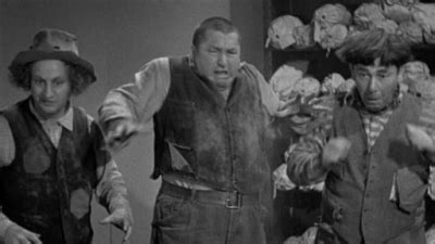 Watch Three Stooges Collection 1934 1936 Season 2 Episode 6 Cash And