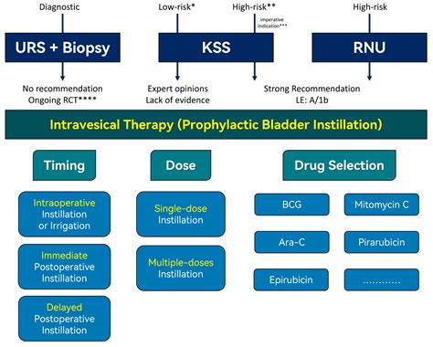 Cancers Free Full Text Intravesical Therapy For Upper Urinary Tract