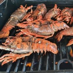 Grilled Rock Lobster Tails Photos Allrecipes