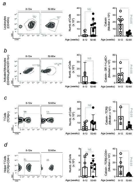 Increased Level Of Intracellular Fe In Peripheral Blood Leukocytes