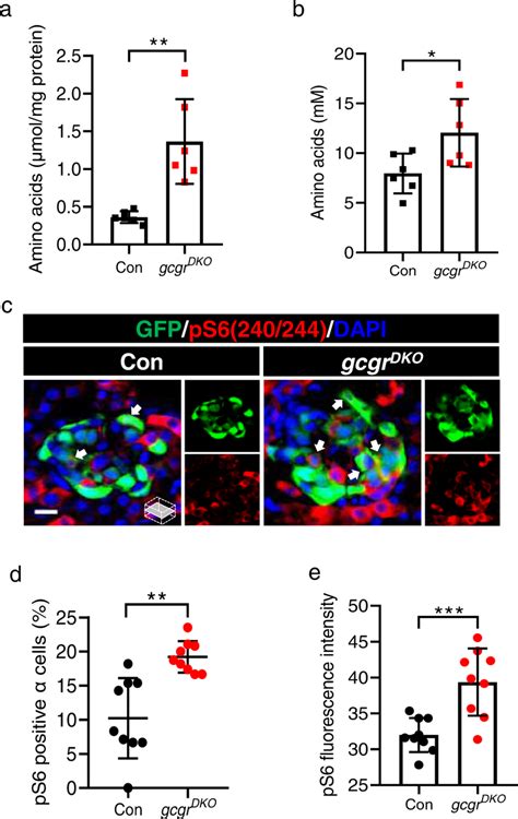 Elevated Free Amino Acids And Cell Mtorc Activity In Gcgrdko