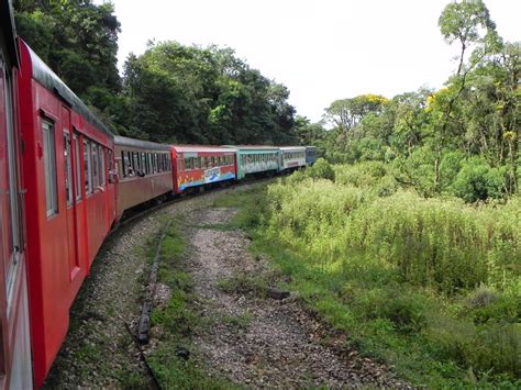 Passeio De Trem Pela Serra Do Mar O Melhor De Curitiba Viajar Hei