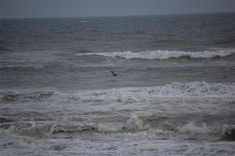 Summer08 203 Surf From Hurricane Gustav Rotormedic Flickr