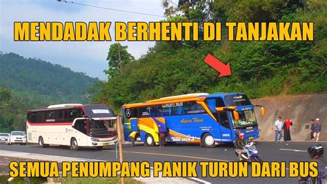 Bus Pariwisata Mendadak Berhenti Di Tanjakan Gentong Semua Penumpang