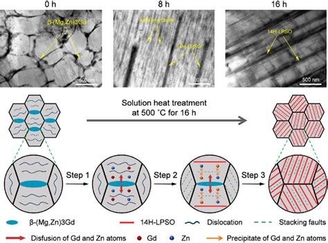 E Schematic Of 14H LPSO Phase Formation Process During Heat Treatment