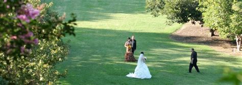 Weddings - The Arboretum